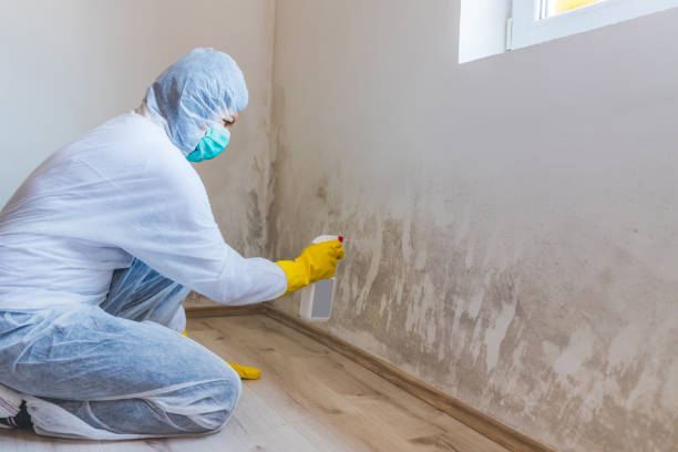Mold Remediation specialist working in Key Biscayne